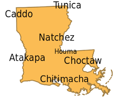 Louisiana Wikiowl