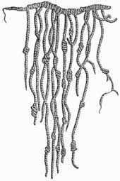 The largest empires in history thrived without a wheel, alphabet, or money. Quipu Wikipedia