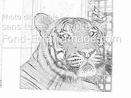 Coloriage mandala disney art therapie le monde de dory dessin. Coloriage Mandala Animaux Les Beaux Dessins De Meilleurs Dessins A Imprimer Et Colorier Page 4
