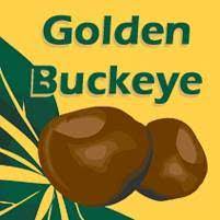 Recently added or updated golden buckeye businesses. Golden Buckeye Program Home Facebook