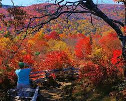 Graveyard Fields Hike Waterfall North Carolina Beautiful Vacations Fun Places To Go Cities In North Carolina