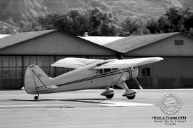 Image result for White 1994 Reliant