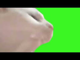 kafa sallayan kedi yesil perde efekti vibing nod cat green screen effect youtube