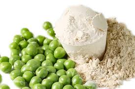 What is Pea Protein? | Pea Protein Powder | H&B