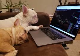 It's possible to go to sleep and see a single coin skyrocket by 25% — or lose half of its value. Watching The Crypto Market 24 7 Got Me Like Steemit