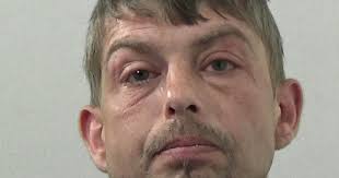 Drunk Wallsend yob punched officer and tried to get dogs to attack police