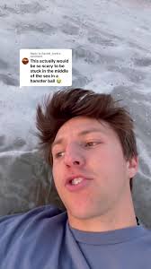 Hamster Ball Spinning with Hamster in It