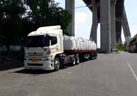 Xvideos Cela Lopes - Acceso directo a sus filmes más íntimos