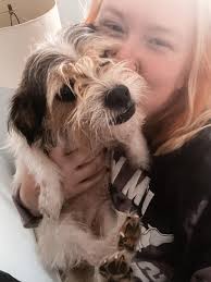 Can you help find my lost dog near Barthel and N 5th?