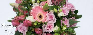 From daily flowers to bouquets, these flower shops got you covered. Auckland S Leading Local Cbd Florist Same Day Delivery Service