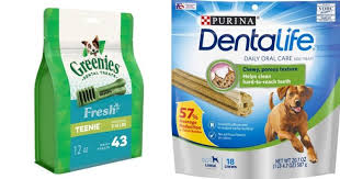 Here's what you need to know about dental cleaning in dogs. 10 Best Dental Treats For Dogs Teeth Gumline Oral Care Treats