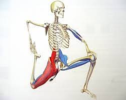 Pain when sitting, standing, or walking; Psoas Muscle And Lower Back Pain Physiologic
