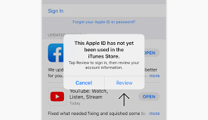 How To Get Expressvpn If It S Not In Your App Store Ios Expressvpn