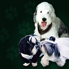 Maybe you would like to learn more about one of these? Puppy Love Grooming Spa Home Facebook