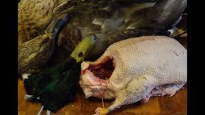 How To Prepare And Cook A Duck.( Part 1.),Bird Preparation. - Youtube