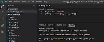 Python program to check prime number. Python Check If The Variable Is An Integer Python Guides