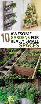Gardening Home Garden Garden Hacks Garden Tips And Tricks Growing Plants Plants Vegetabl Small Space Gardening Small Patio Garden Indoor Garden Apartment