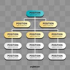 Organizational Chart Organization Structure Chart Data Png Transparent Clipart Image And Psd File For Free Download Chart Infographic Organizational Chart Organization Chart