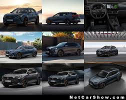 We did not find results for: Cupra Formentor 2021 Pictures Information Specs