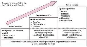 Conocimientos Auxiliar De Enfermeria Letras Diccionario