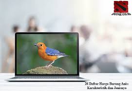 Download lagu suara burung plamboyan betina mp3 dan video klip mp4 (3.88 mb) gudanglagu. 26 Daftar Harga Burung Anis Karakteristik Dan Jenisnya