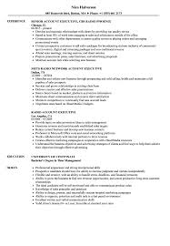 The most commonly used and preferred resume formats by job hunters, job seekers and human resources for an execute resume, the two page resume format would be more appropriate. Radio Account Executive Resume Samples Velvet Jobs