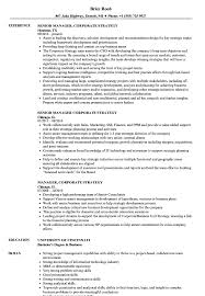 manager, corporate strategy resume