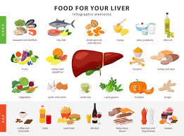 2 067 Liver Food Illustrations Clip Art Istock