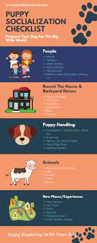 It's about appropriately exposing your puppy to new stimuli during those crucial formative weeks and months of their some of the things you'll want to expose them to include (see the checklist below for a more complete list) Puppy Socialization Checklist And Schedule For Your New Dog
