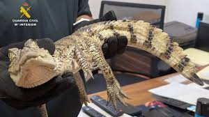 Michela riganelli leaks got in touch with Ana by means of