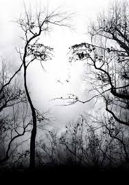 Best Black And White Nature Photos World Best Black And White Photography Google Search Beautiful Photography Nature Mother Nature Goddess Nature Goddess