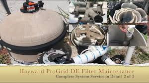 We did not find results for: Hayward Pro Grid De Filter Cleaning Complete Process 2 Of 2 Youtube