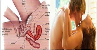 Mungkin anda bisa menyalahkan isyarat sosial ketika anda makan terlalu banyak atau terlalu sedikit. Penting Cara Memancutkan Air Mani Isteri Berkali Kali Untuk Bacaan Suami Isteri Sahaja Suara Timuran