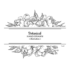Vector draw picture illustration clip art element design. Flower Sketch Stock Photos And Images 123rf