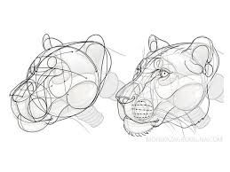 Maybe you would like to learn more about one of these? Learn Animal Anatomy To Draw Realistic Animals From Imagination Class101 Usa