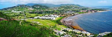 Image result for st kitts nevis