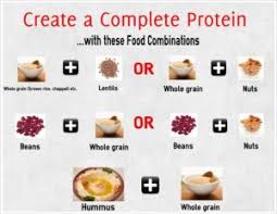 Complete Protein And Why It Is Important To You Alaskafit