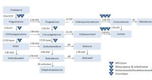 Image result for Cushing Response