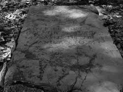 Dorothy Drew Farrell (1649-1673)