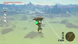 I wrap my salmon into foil parcels, add more seasoning: Legend Of Zelda Breath Of The Wild Slippery Falcon Preuzmi