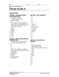 As soon as you assign a quiz, you can view the answer key by first navigating to your assignment list by clicking assignments at the top of the page. Biology Chapter 5 Study Guide Answer Key Pdf Fill Online Printable Fillable Blank Pdffiller