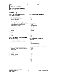 My hrw answer key gohrtcom. Biology Chapter 5 Study Guide Answer Key Pdf Fill Online Printable Fillable Blank Pdffiller