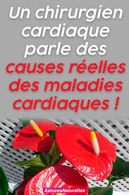 Beaucoup L Appellent Mere Nature Et Ils Ont Raison Car En Tant Que Mere Elle Prend Soin De Nous Et Nous Protege Nous Parlons Bien De La Nature Health Fruit