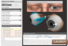 Image result for Extraocular Movement