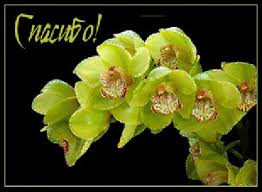 ÐÐ¾ÑÐ¾Ð¶ÐµÐµ Ð¸Ð·Ð¾Ð±ÑÐ°Ð¶ÐµÐ½Ð¸Ðµ