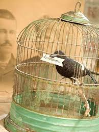 Bird In A Gilded Cage Poem 27 Halloween Decorations That Last All Season Long Stylish Halloween Bird Cage Bird