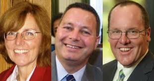 Genis, Stephens, Mansoor lead in Costa Mesa council election