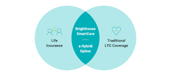 We did not find results for: Smartcare Long Term Care Life Insurance Brighthouse Financial