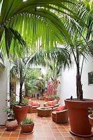 Embracing The Earthiness Of Terracotta Tiled Floors Avec Images Deco Jardin Jardin Interieur Idees Jardin