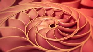 Nature By Numbers Alternative Soundtrack By Cristobal Vila Nature By Numbers Special Edition For Tedxmadrid 2011 Maths In Nature Math Art Lucid Dreaming